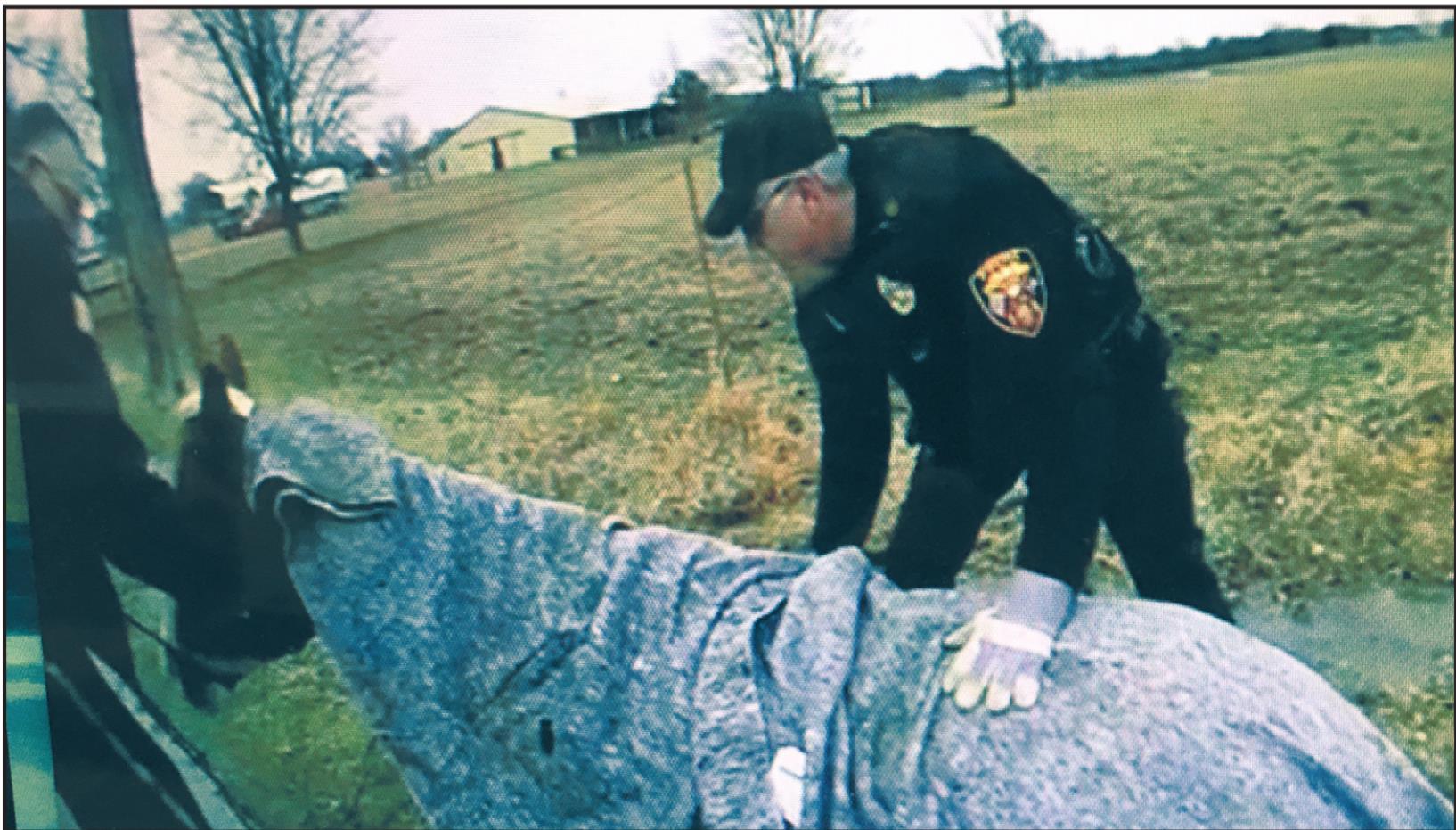 Local Horse Rescued By Muldrow Officers